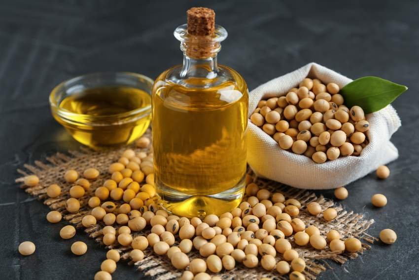 Premium Soybean Oil